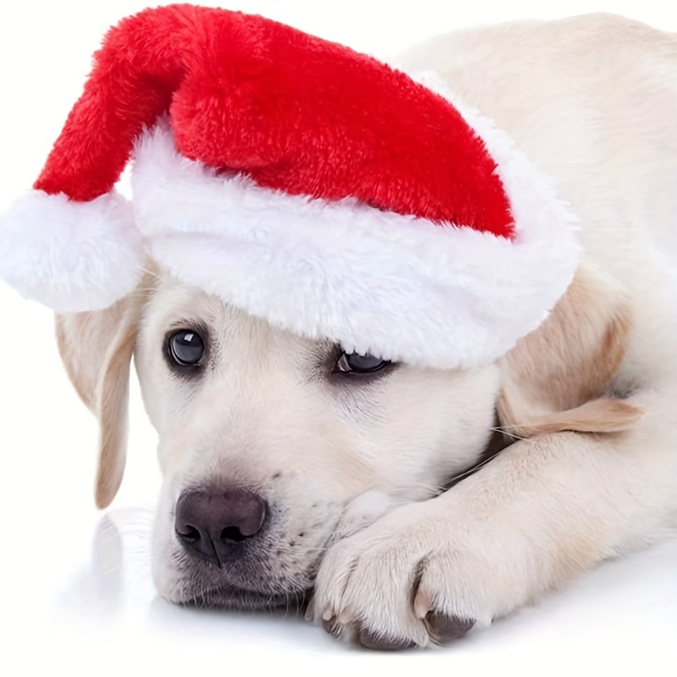 Santa Hat Plush - 1-10 STUKS Luxe Zachte Pluche Kerstmuts