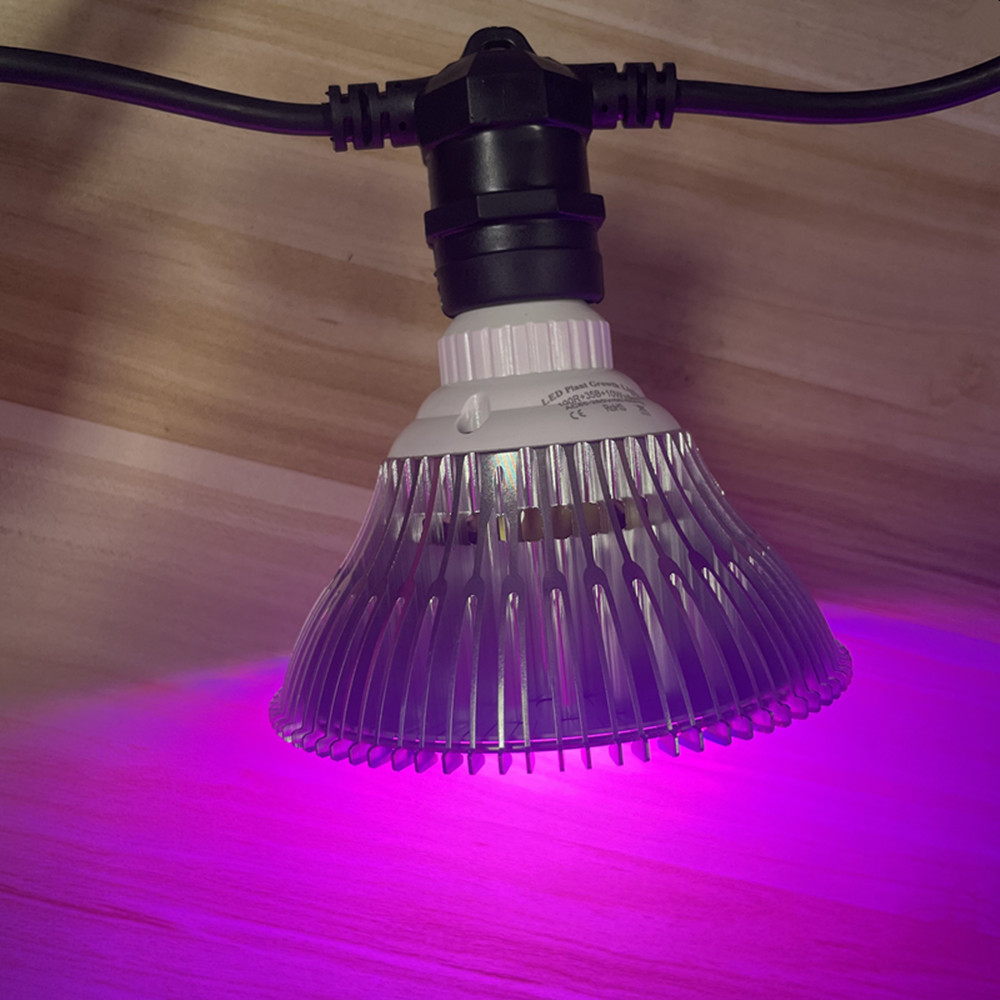 10M kabel LED-slinger van comm - Led Fairy String Lights recensie en prijs